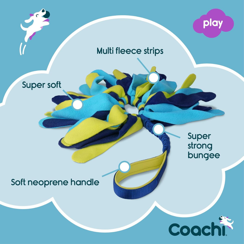 Coachi Tuggi Spider Dog Toy