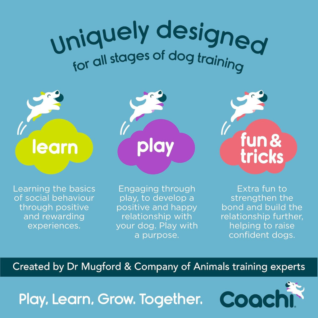 Coachi Tuggi Spider Dog Toy