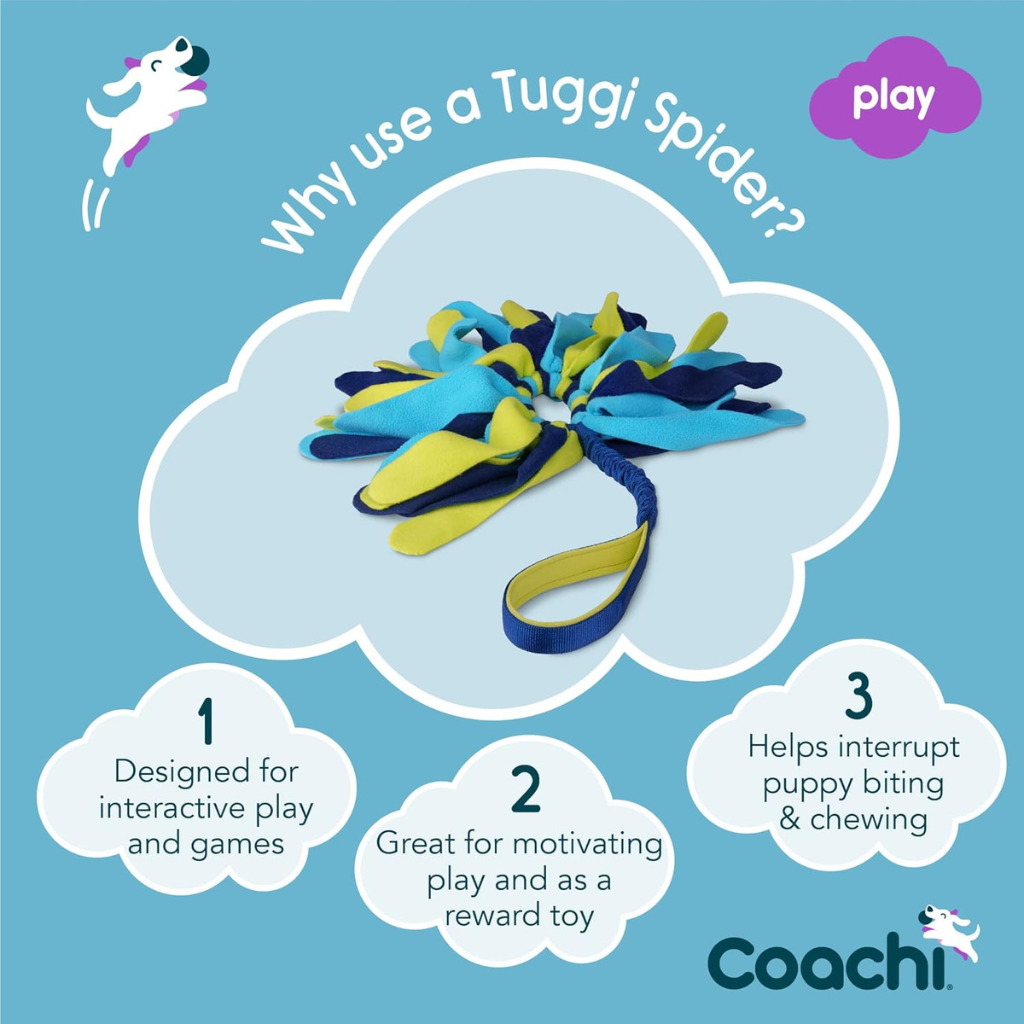 Coachi Tuggi Spider Dog Toy