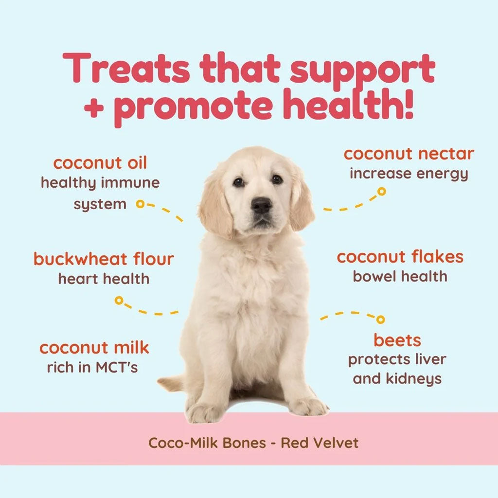 Cocotherapy Coco-Milk Bones Biscuit Organic Coconut Treat for Dogs, 6-oz