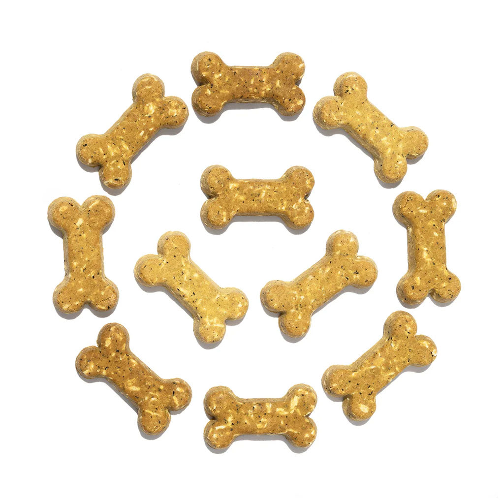 Cocotherapy Coco-Milk Bones Biscuit Organic Coconut Treat for Dogs, 6-oz