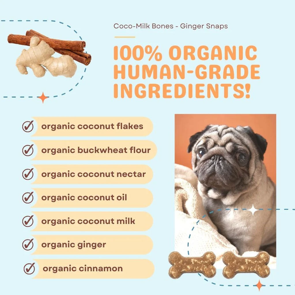 Cocotherapy Coco-Milk Bones Biscuit Organic Coconut Treat for Dogs, 6-oz