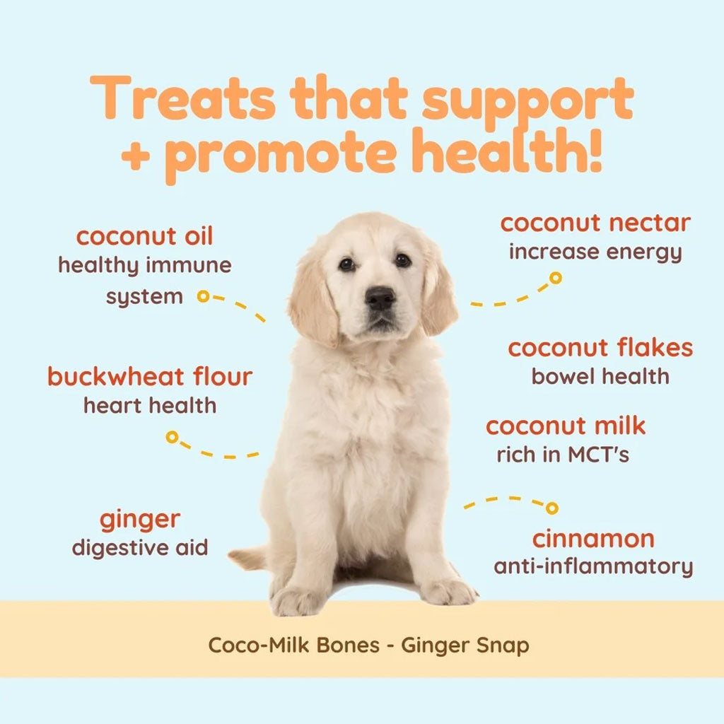 Cocotherapy Coco-Milk Bones Biscuit Organic Coconut Treat for Dogs, 6-oz