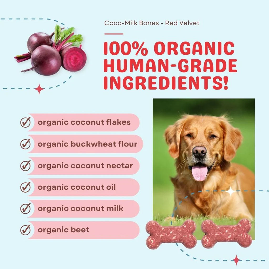 Cocotherapy Coco-Milk Bones Biscuit Organic Coconut Treat for Dogs, 6-oz