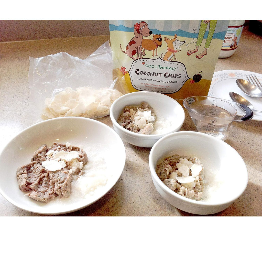 Cocotherapy Coconut Chips Raw Coconut for Dogs, Cats & Birds, 6-oz