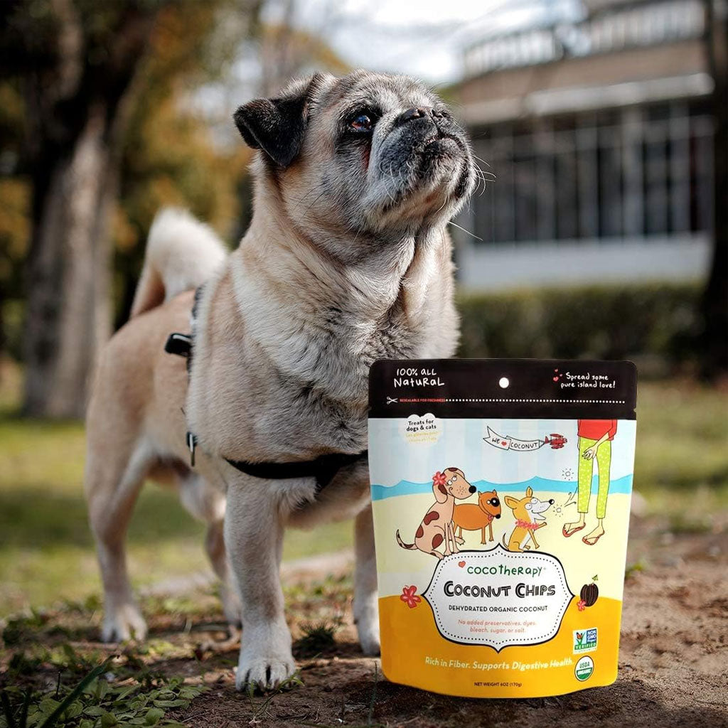Cocotherapy Coconut Chips Raw Coconut for Dogs, Cats & Birds, 6-oz