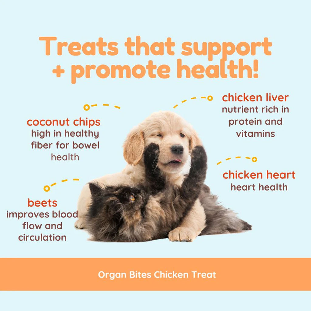 Cocotherapy Organ Bites! Raw Organ Meat Treat for Dogs and Cats, 3-oz