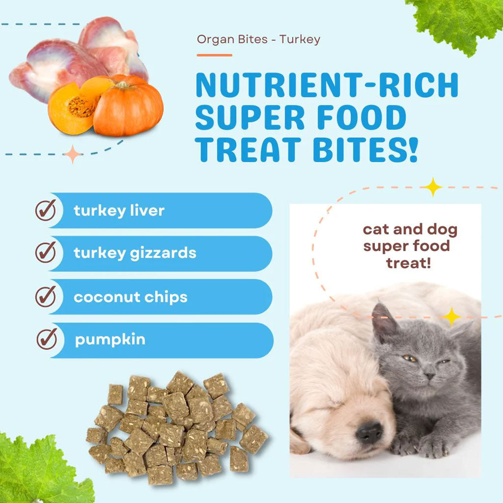 Cocotherapy Organ Bites! Raw Organ Meat Treat for Dogs and Cats, 3-oz