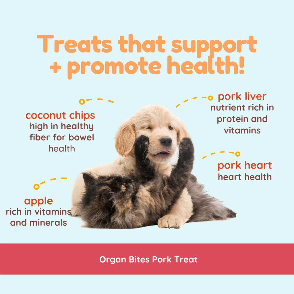 Cocotherapy Organ Bites! Raw Organ Meat Treat for Dogs and Cats, 3-oz