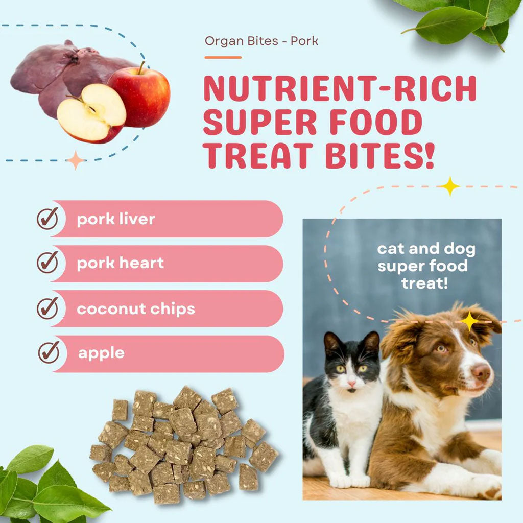 Cocotherapy Organ Bites! Raw Organ Meat Treat for Dogs and Cats, 3-oz
