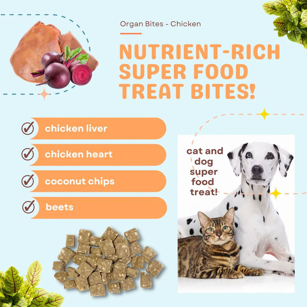 Cocotherapy Organ Bites! Raw Organ Meat Treat for Dogs and Cats, 3-oz