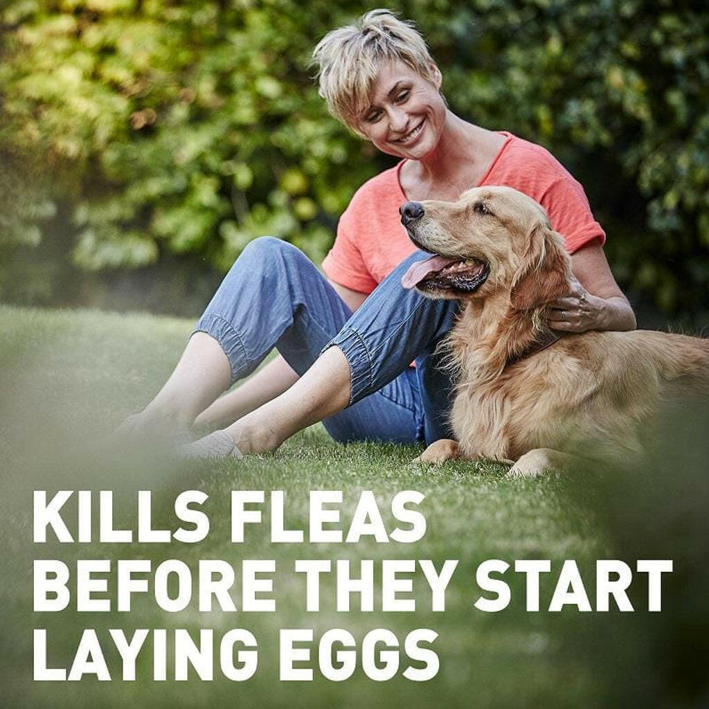 Comfortis Chewable Tablet for Dogs & Cats