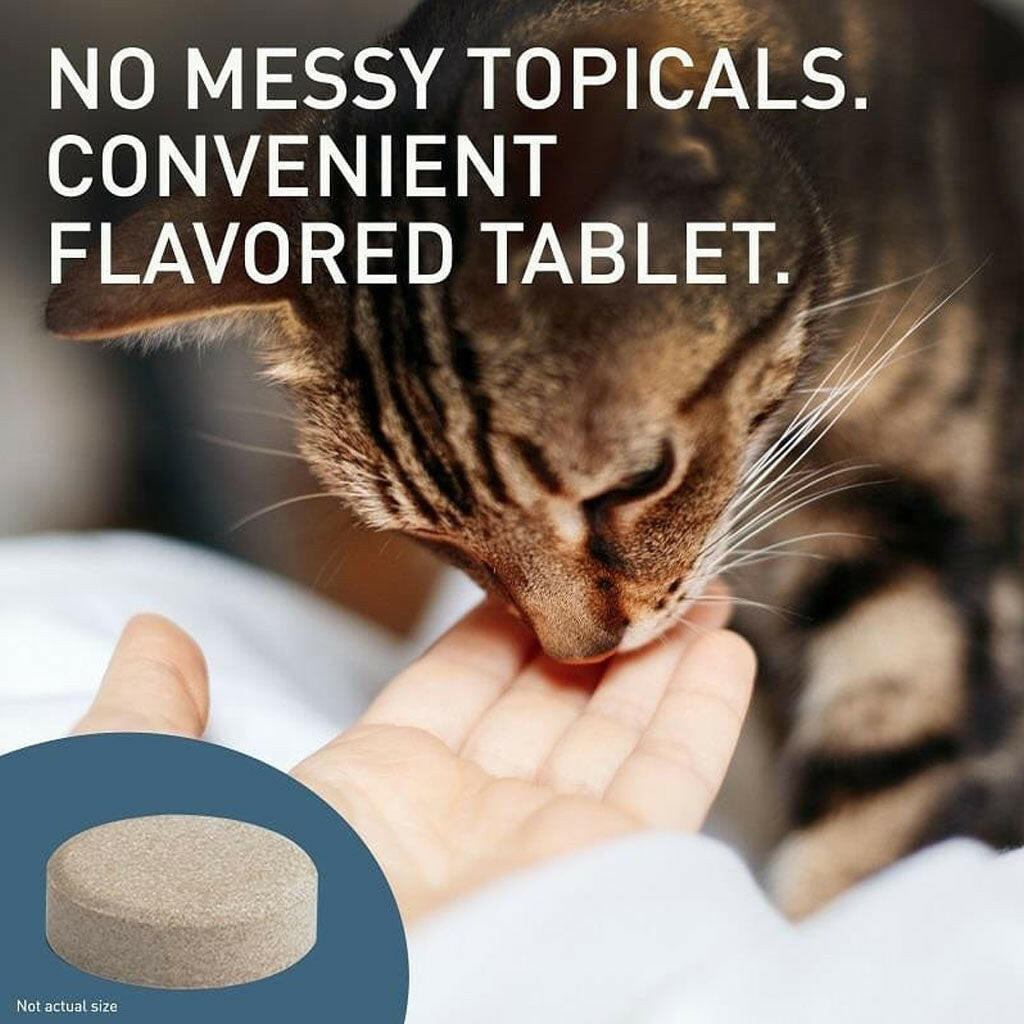 Comfortis Chewable Tablet for Dogs & Cats