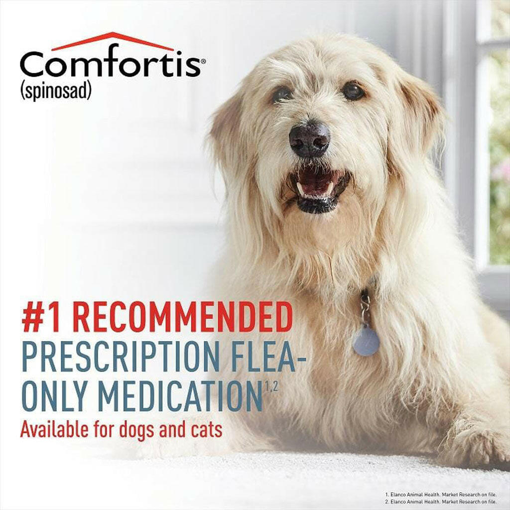 Comfortis Chewable Tablet for Dogs & Cats