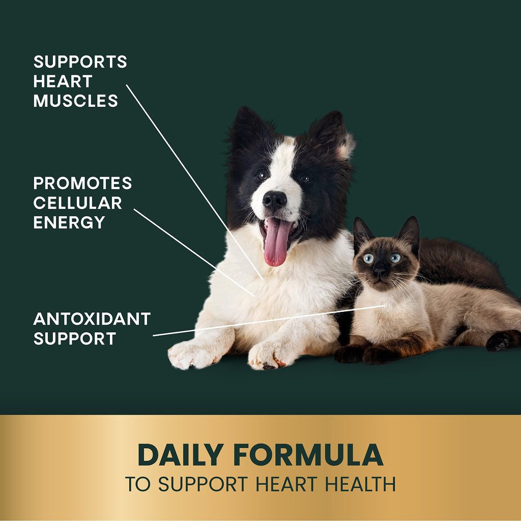 CoQ10 Healthy Heart Capsules for Dogs and Cats (100 capsules)