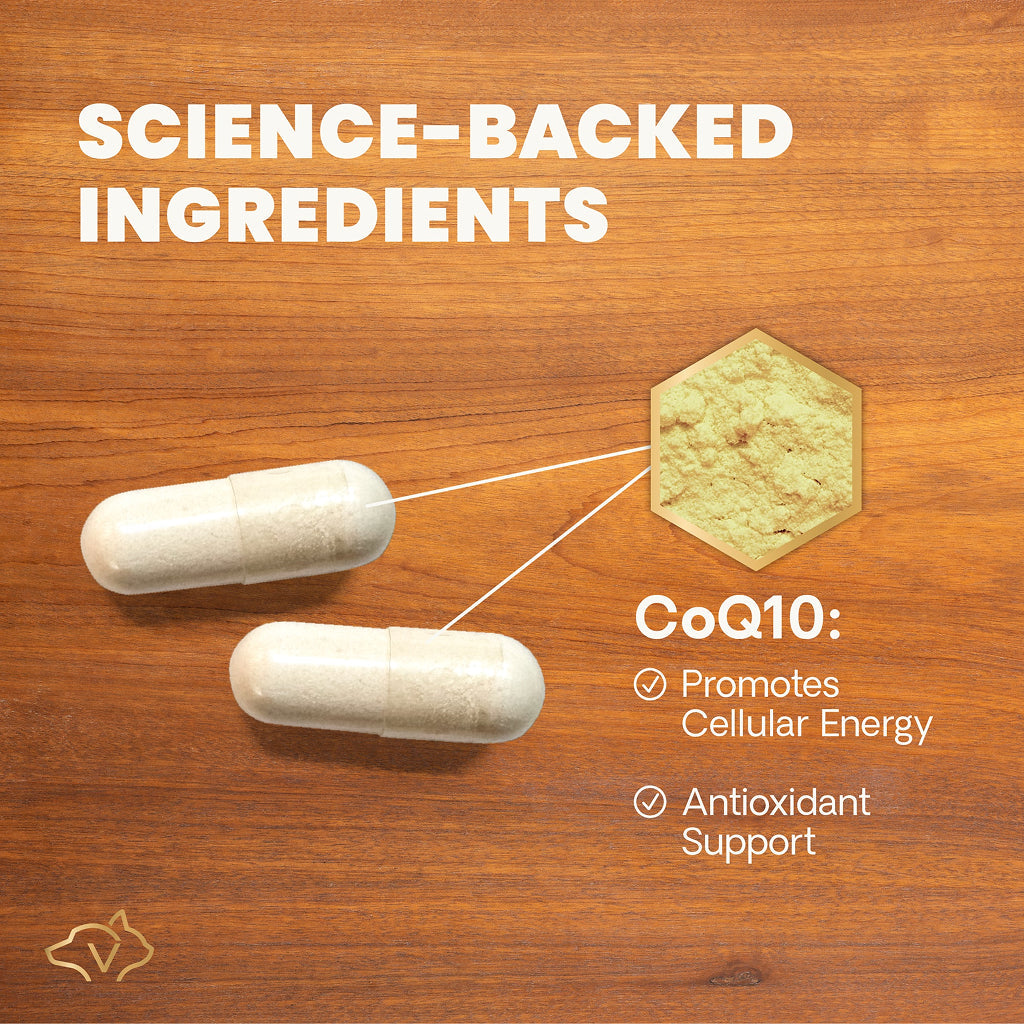 CoQ10 Healthy Heart Capsules for Dogs and Cats (100 capsules)