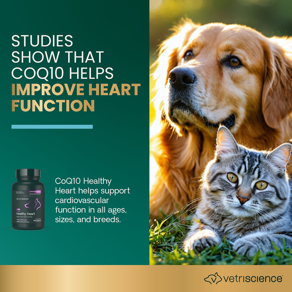 CoQ10 Healthy Heart Capsules for Dogs and Cats (100 capsules)