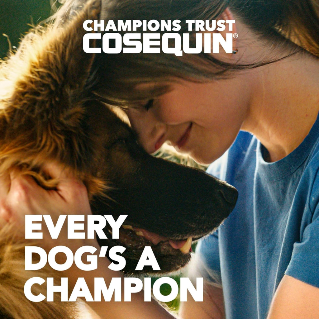 Cosequin Joint Health Supplement with Multifunctional Support (90 Soft Chews)