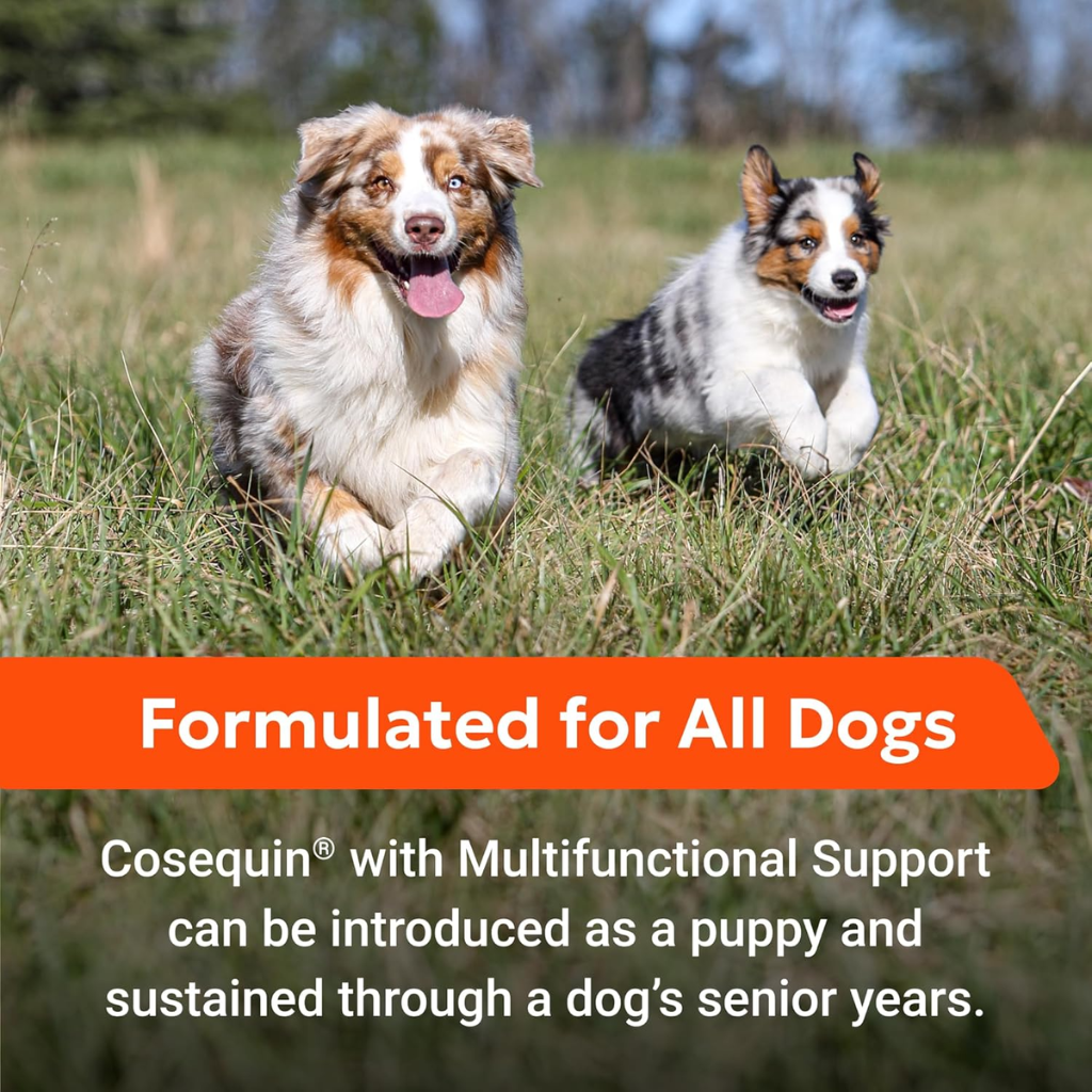 Cosequin Joint Health Supplement with Multifunctional Support (90 Soft Chews)