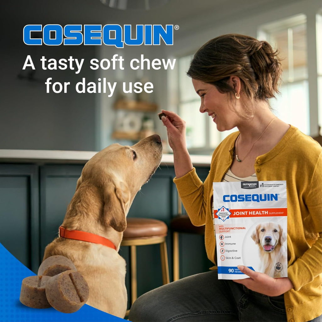 Cosequin Joint Health Supplement with Multifunctional Support (90 Soft Chews)