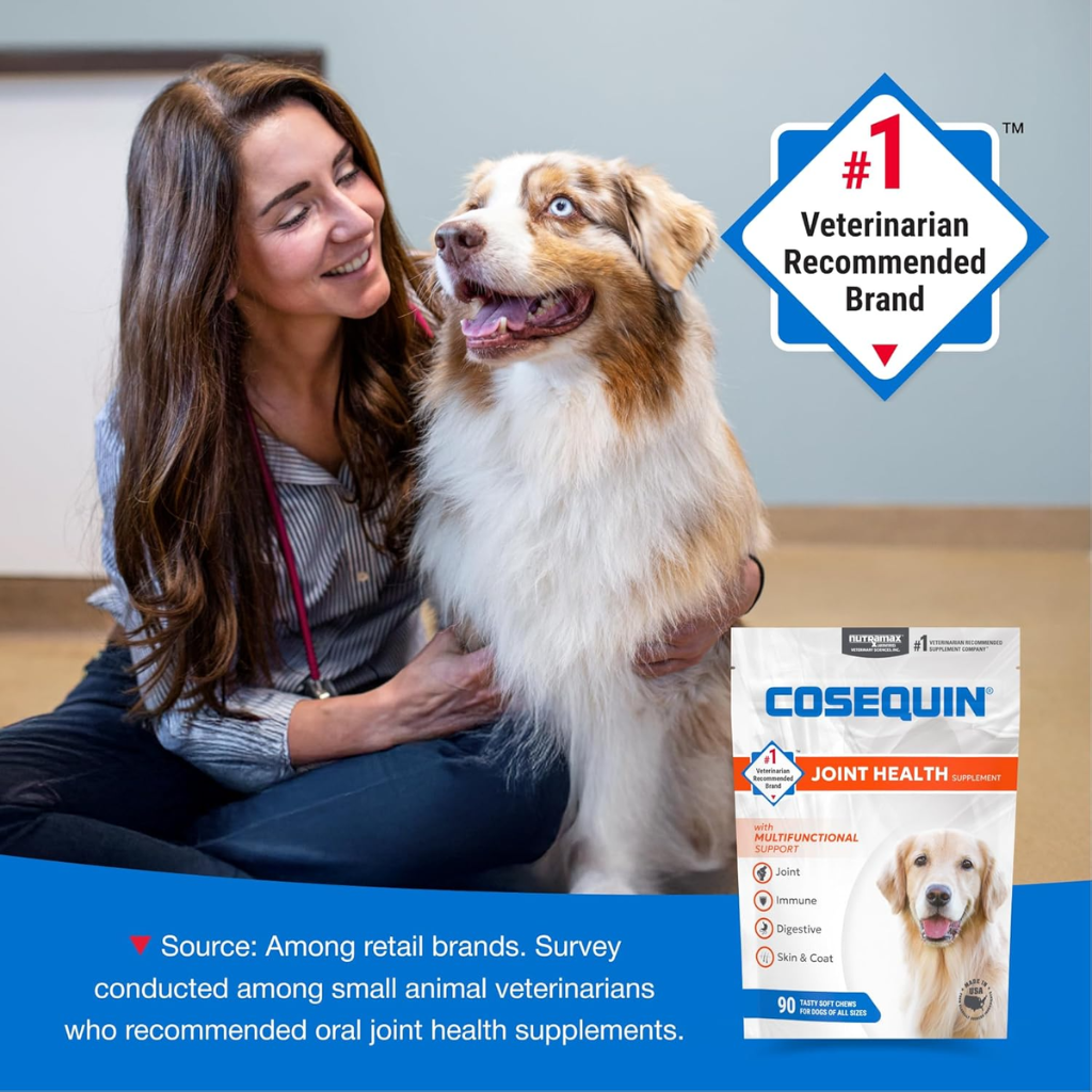 Cosequin Joint Health Supplement with Multifunctional Support (90 Soft Chews)
