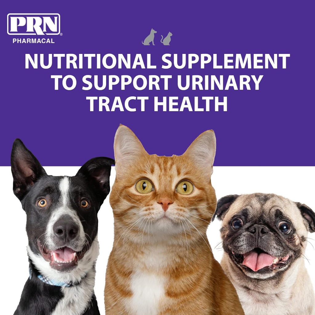 CranMate Cranberry Supplement Tablets for Dogs & Cats (60ct)
