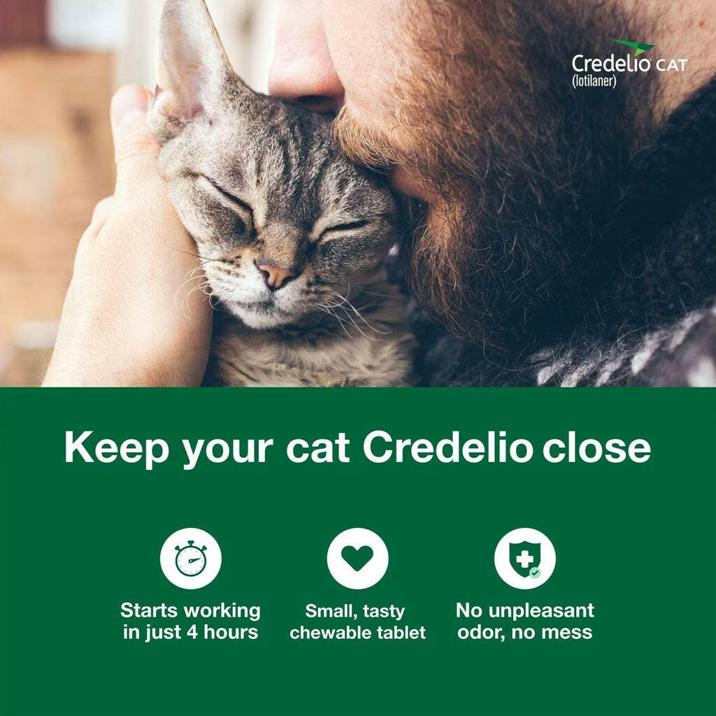 Credelio Chewable Tablets for Cats