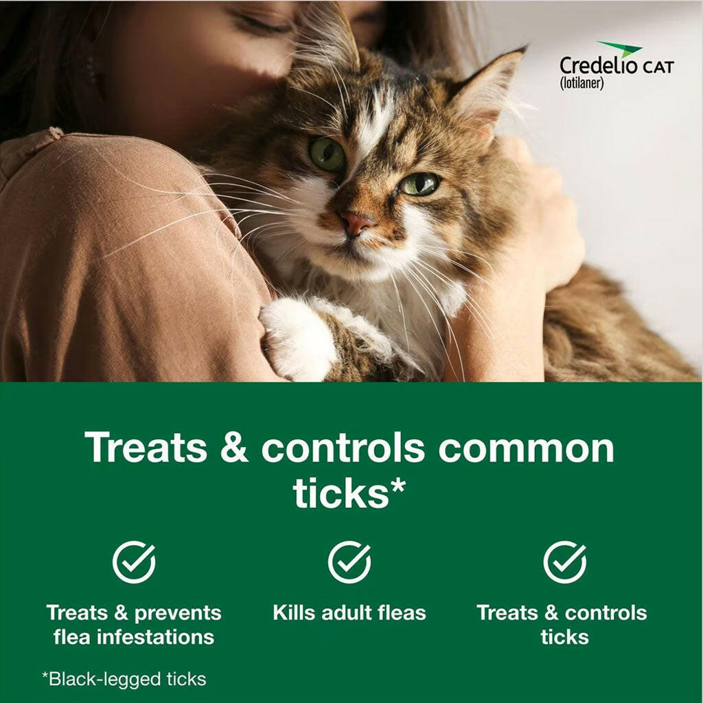 Credelio Chewable Tablets for Cats