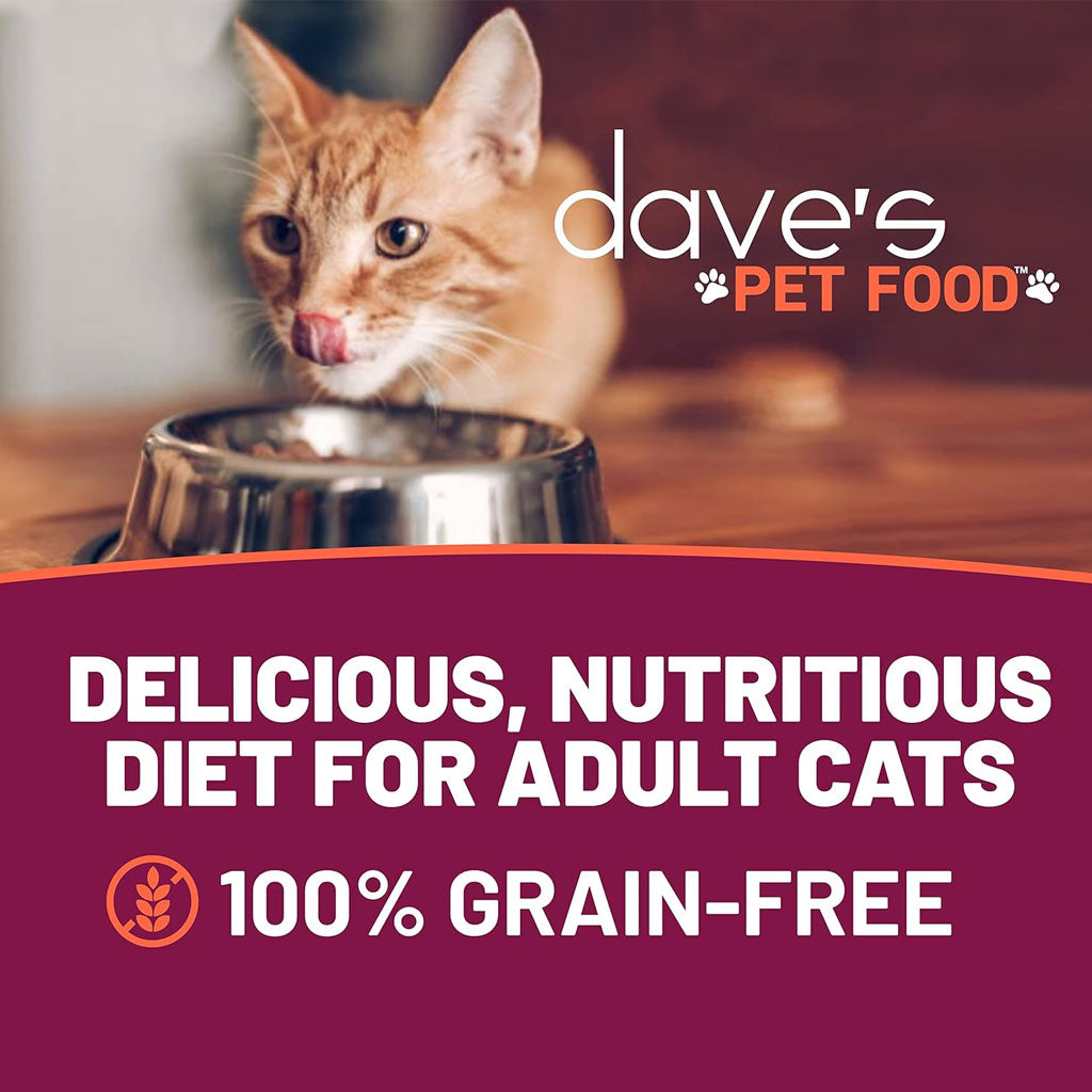 Dave's Pet Food Minced Chicken Dinner in Gravy Canned Wet Cat Food, 2.8-oz can, case of 24