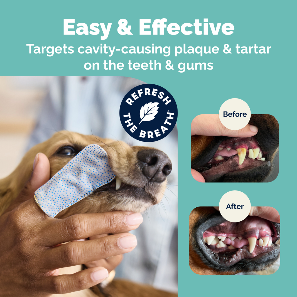 Dentabliss Daily Dental Wipes Finger Mitts for Dogs & Cats (50 ct)