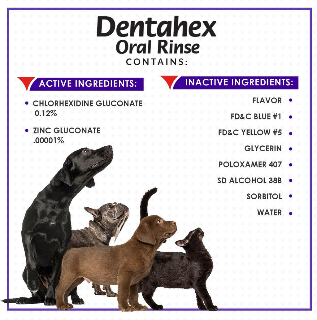 Dentahex Oral Hygiene Rinse (8 oz)