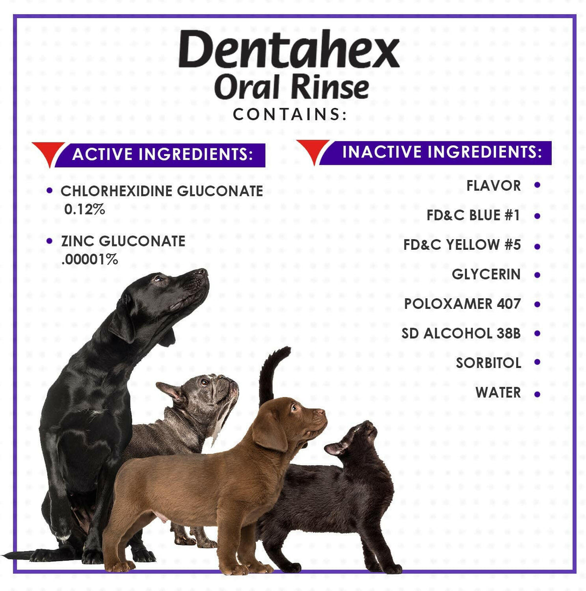 Dentahex Oral Hygiene Rinse (8 oz)