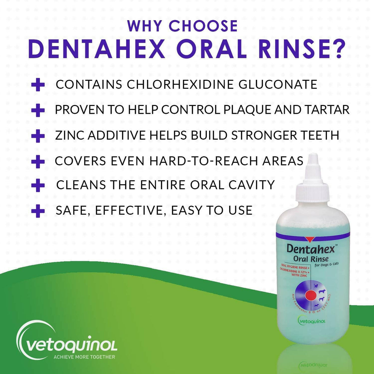 Dentahex Oral Hygiene Rinse (8 oz)