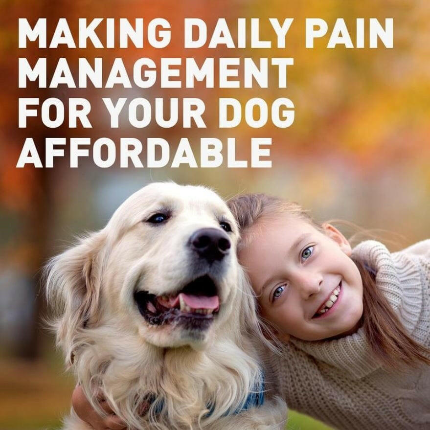 Deramaxx Chewable Tablets for Dogs (Deracoxib)