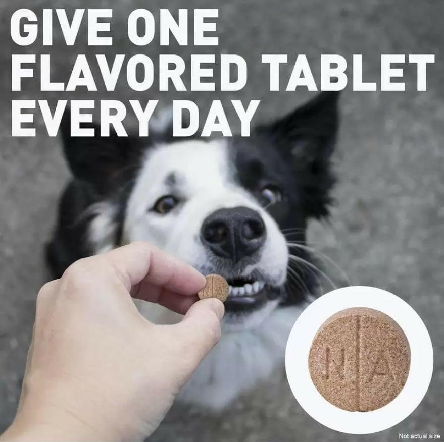 Deramaxx Chewable Tablets for Dogs (Deracoxib)