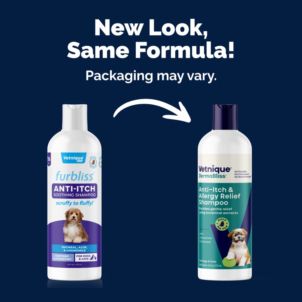 Dermabliss Advanced Vet Strength Anti-Itch & Allergy Relief Shampoo for Dogs & Cats, 16 oz