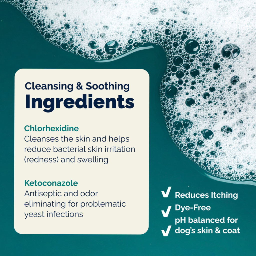 Dermabliss Advanced Vet Strength Medicated Shampoo, 16 oz