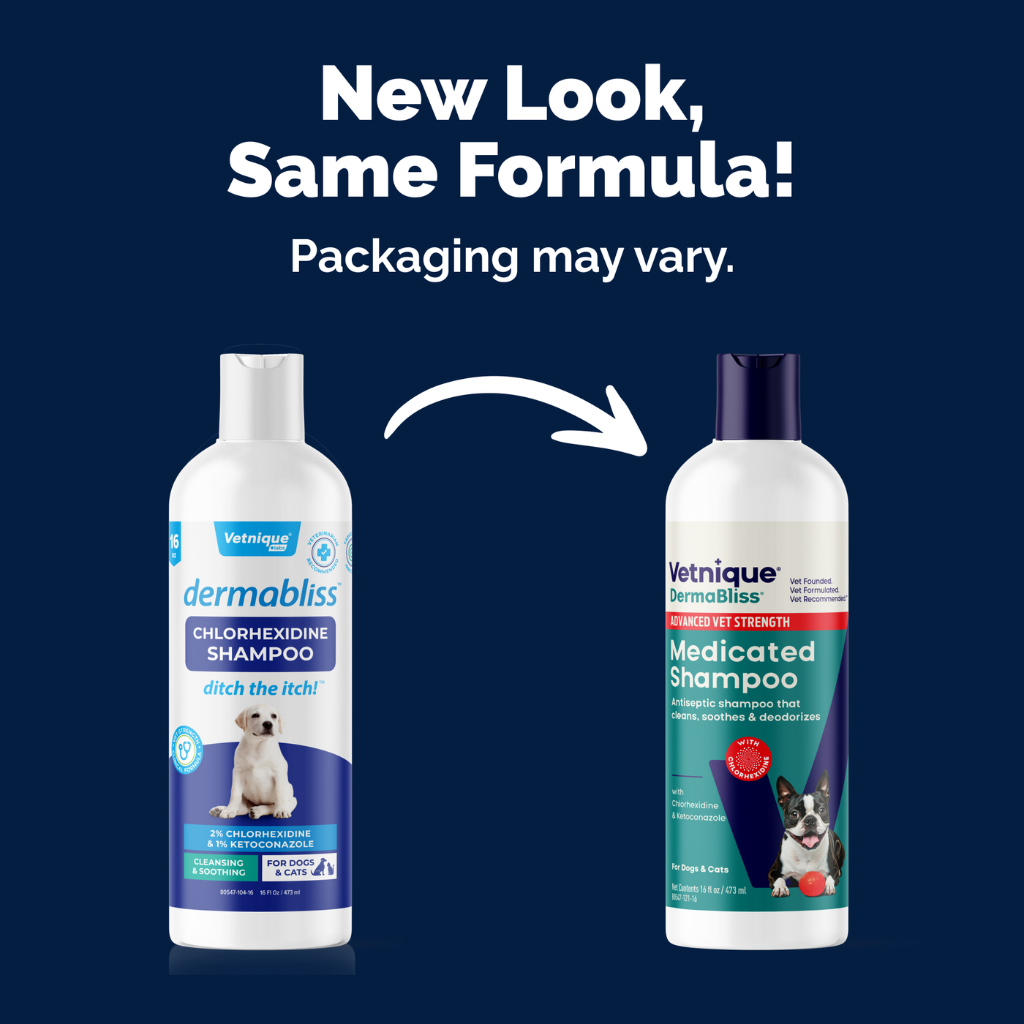 Dermabliss Advanced Vet Strength Medicated Shampoo, 16 oz