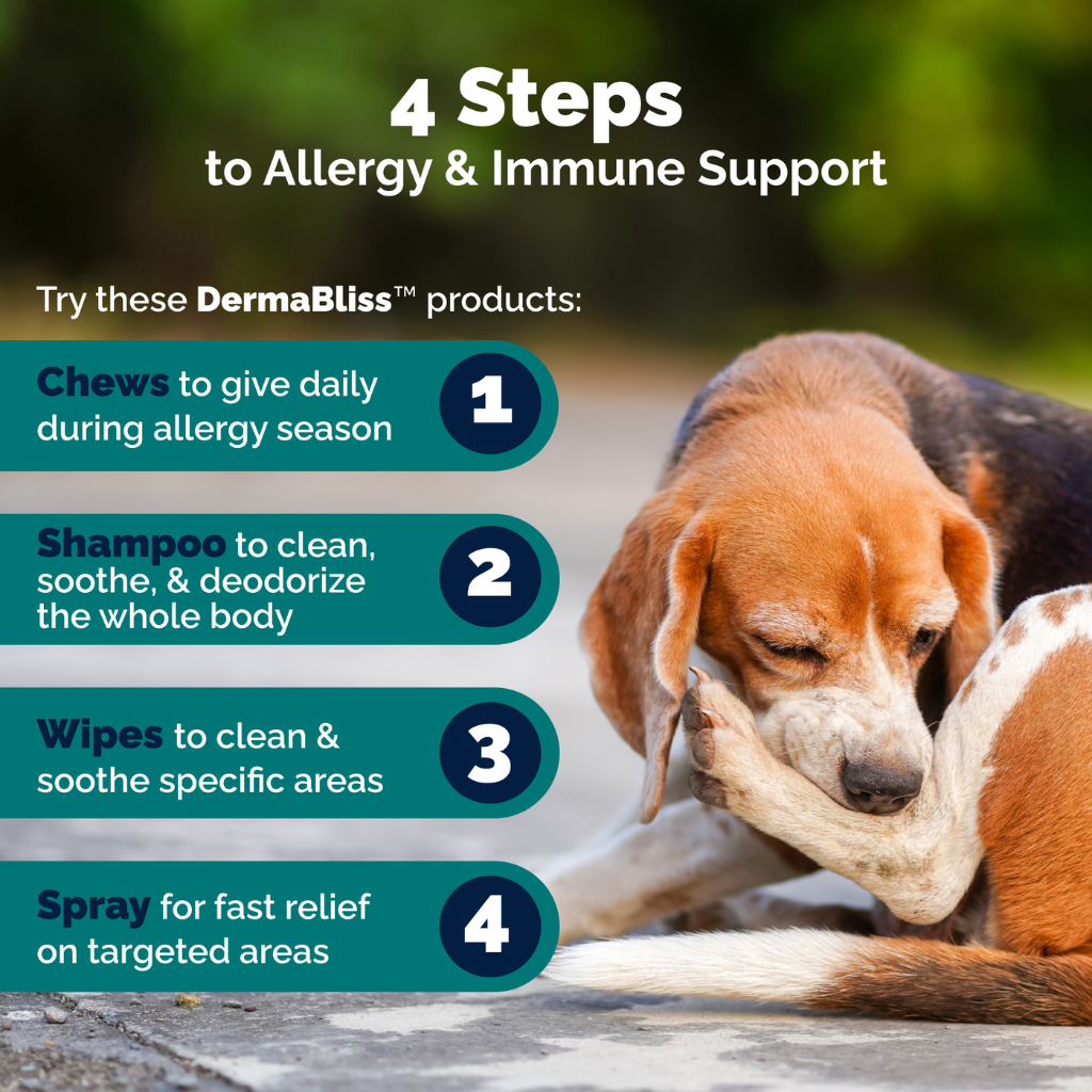 Dermabliss Advanced Vet Strength Seasonal Allergy Health Chews for Dogs