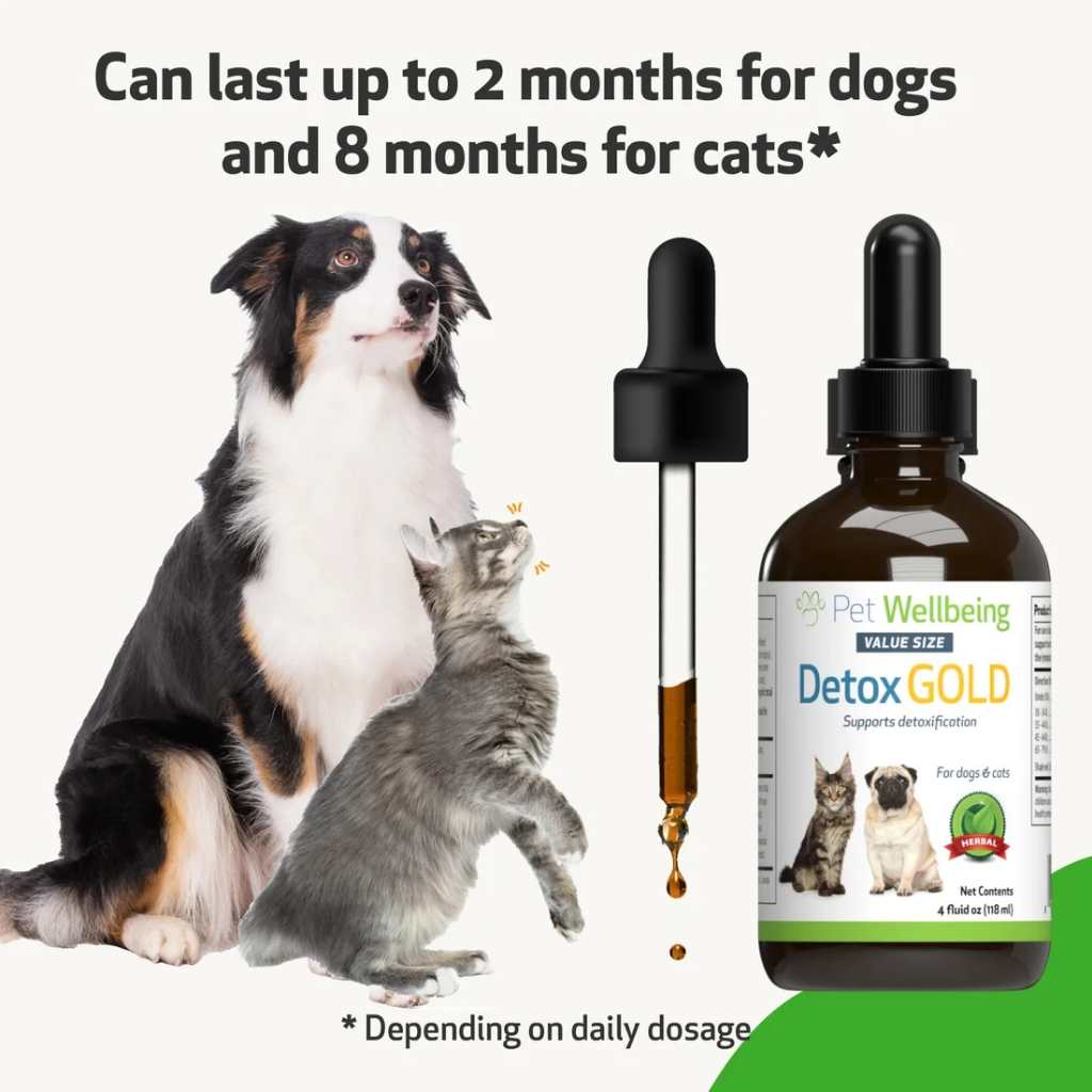 Detox Gold for Dogs - Gentle Detoxification & Elimination Support