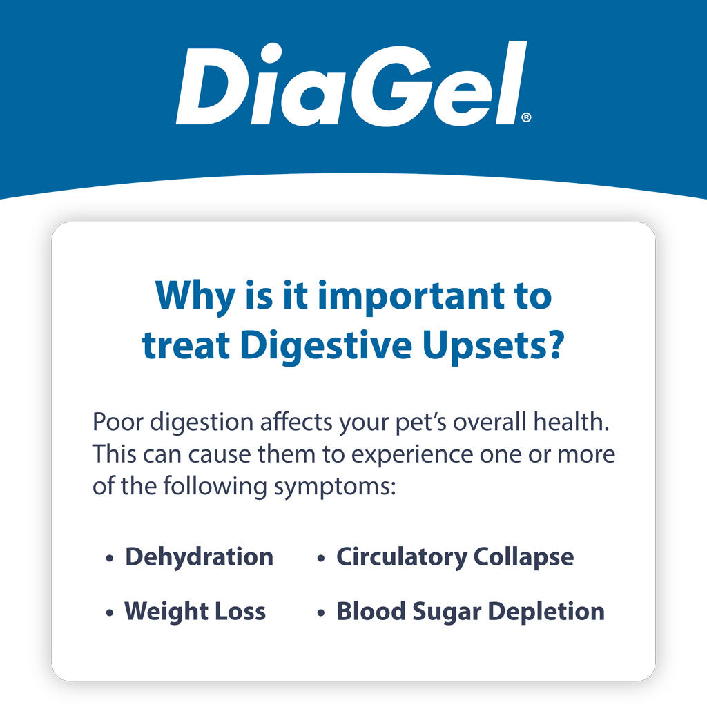 DiaGel Anti-Diarrheal Gel for Kittens (0.5 ml)