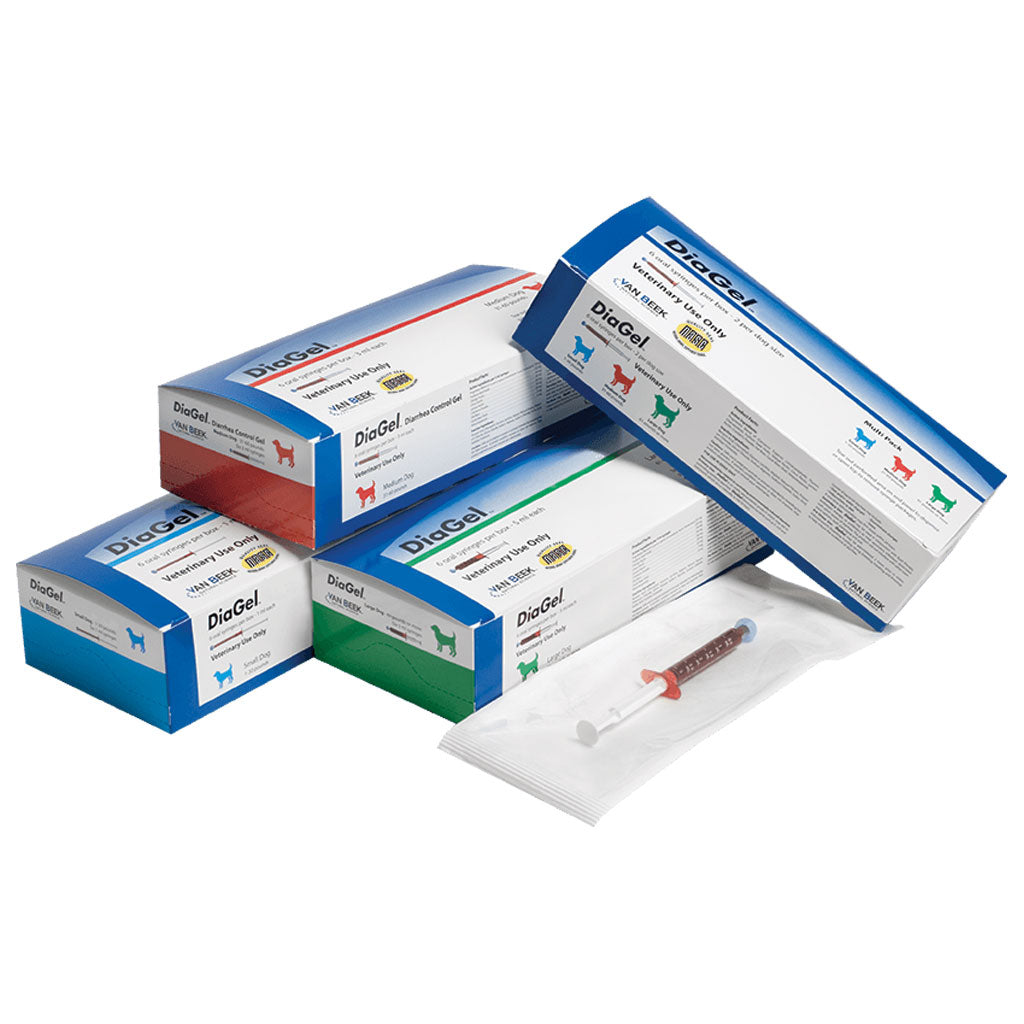 DiaGel Anti-Diarrheal Gel for Large Dogs (5 ml)