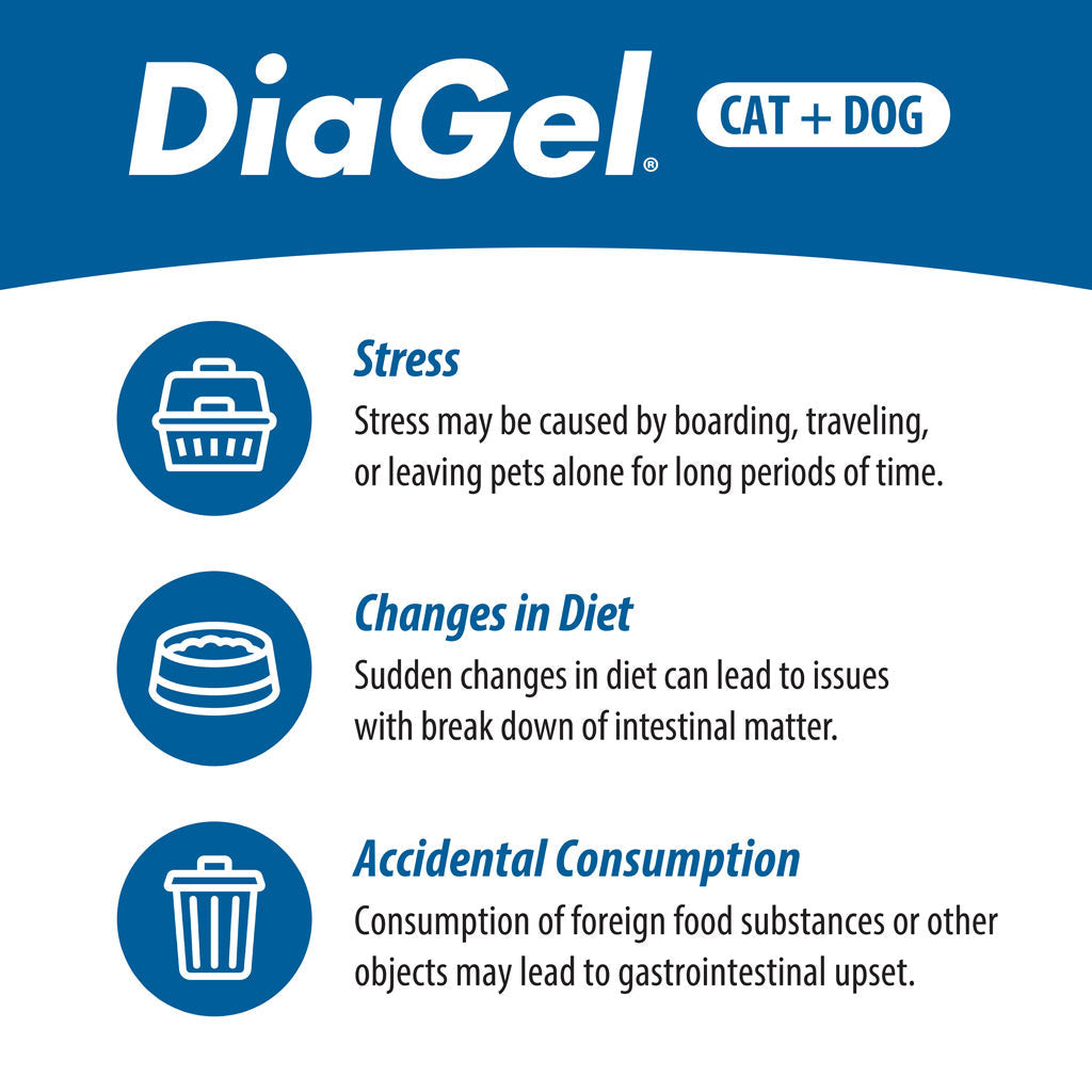 DiaGel Anti-Diarrheal Gel for Medium Dogs (3 ml)
