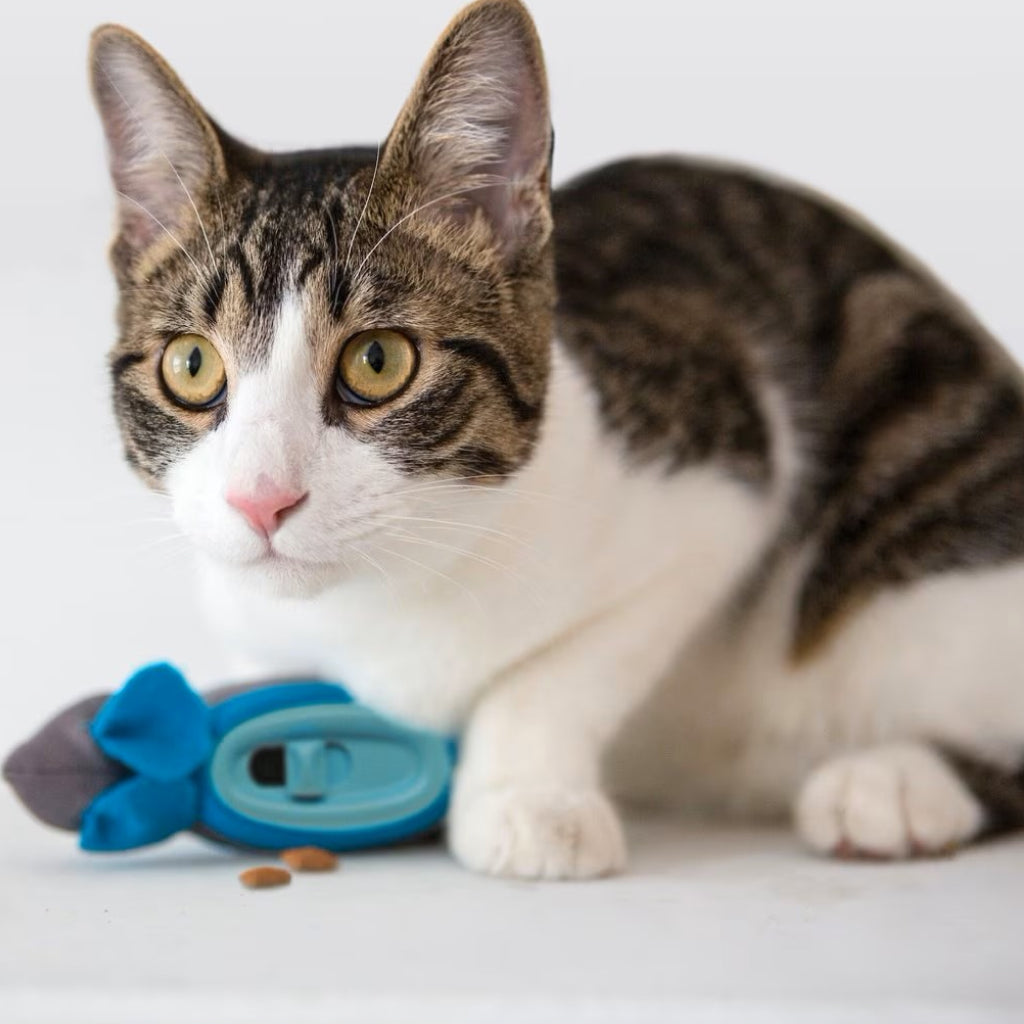 Doc & Phoebe The Hunting Snacker Feeder Toy For Cats (1 ct)