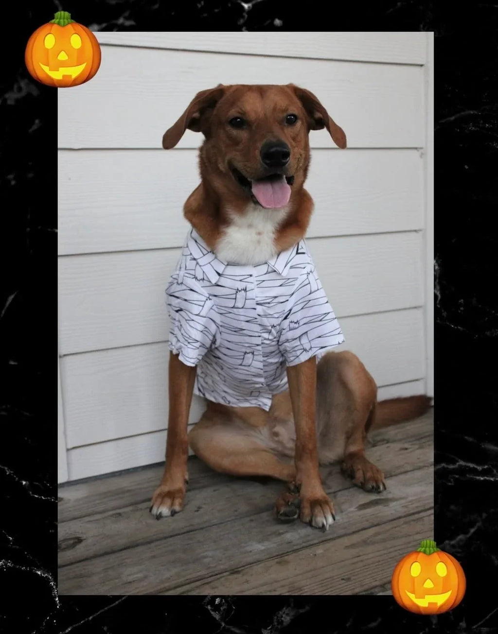 Doggie Design Halloween Camp Shirts Mummy for Dogs & Cats