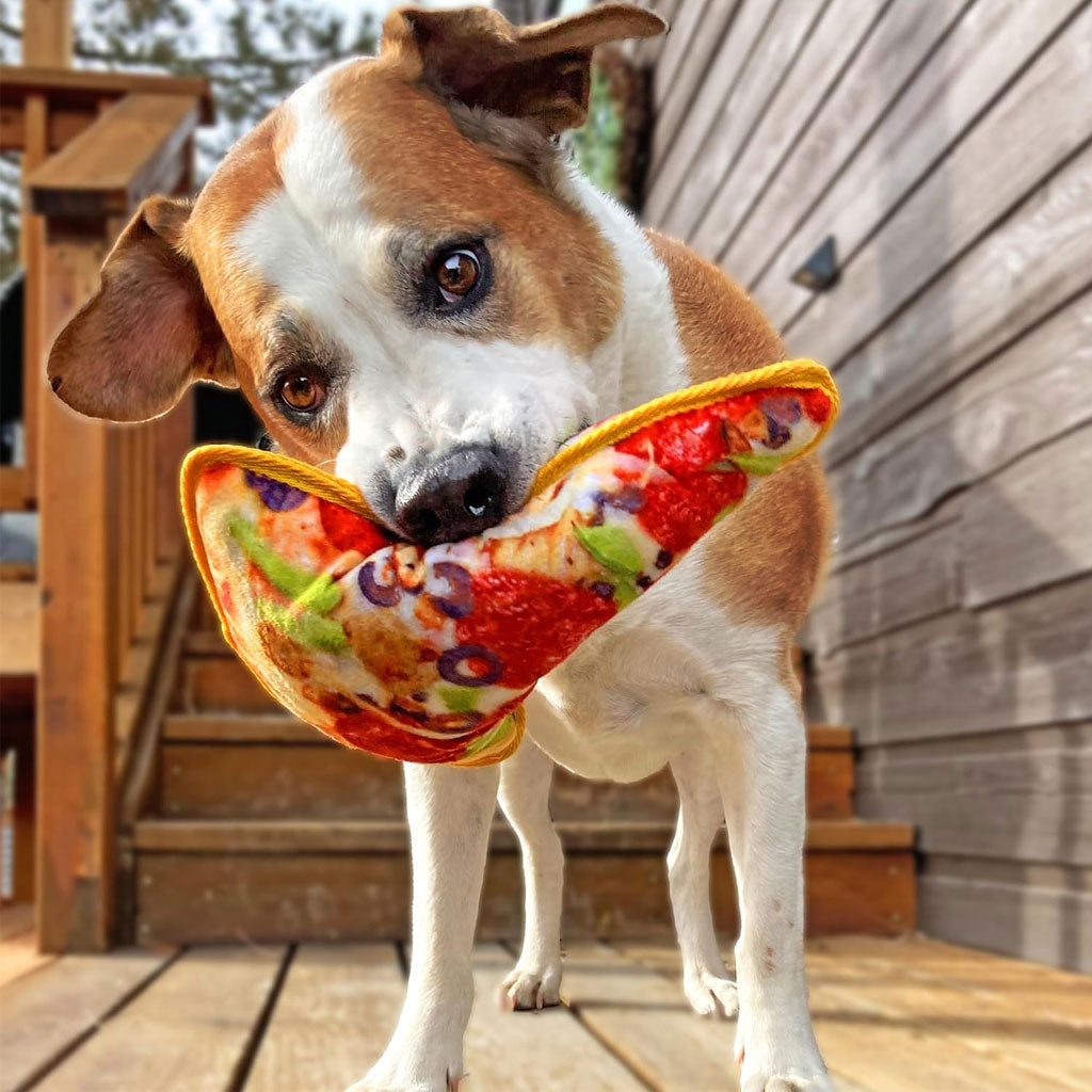 Doggijuana Tuffer Chewer Refillable Juananip Supreme Pizza Squeaky Dog Plush Toy, 1 count