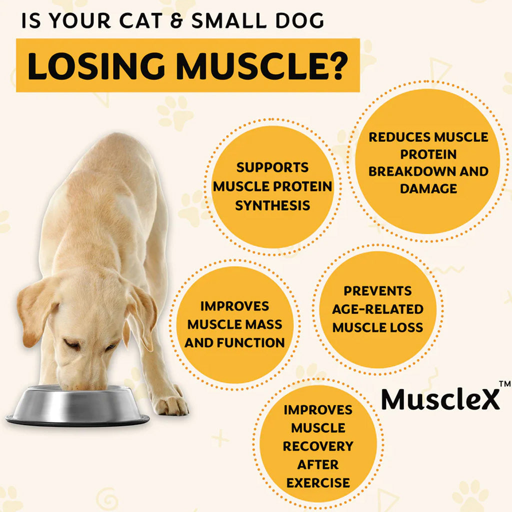 Doggy Naturals MuscleX Advance Muscle Development for Dogs & Cats, 90 capsules