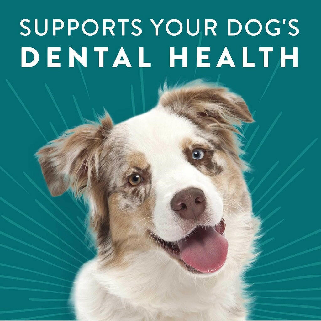 Dogswell Dental Chicken Recipe Jerky Treats For Dogs
