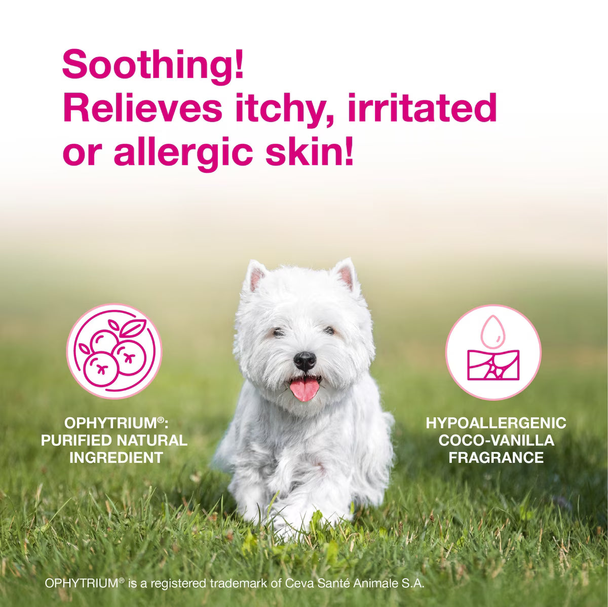 Douxo S3 CALM Soothing Itchy, Hydrated Skin Dog & Cat Shampoo
