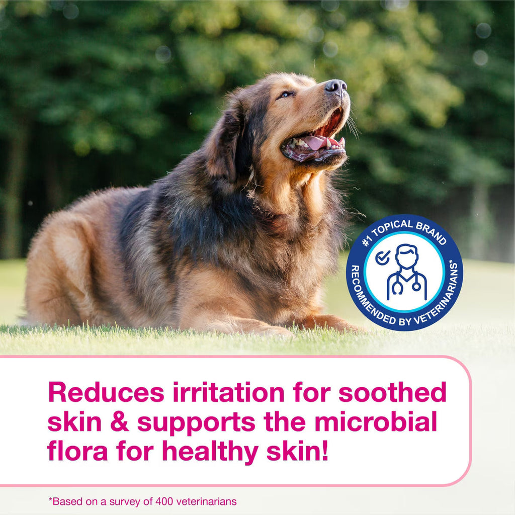 Douxo S3 CALM Soothing Itchy, Hydrated Skin Dog & Cat Shampoo